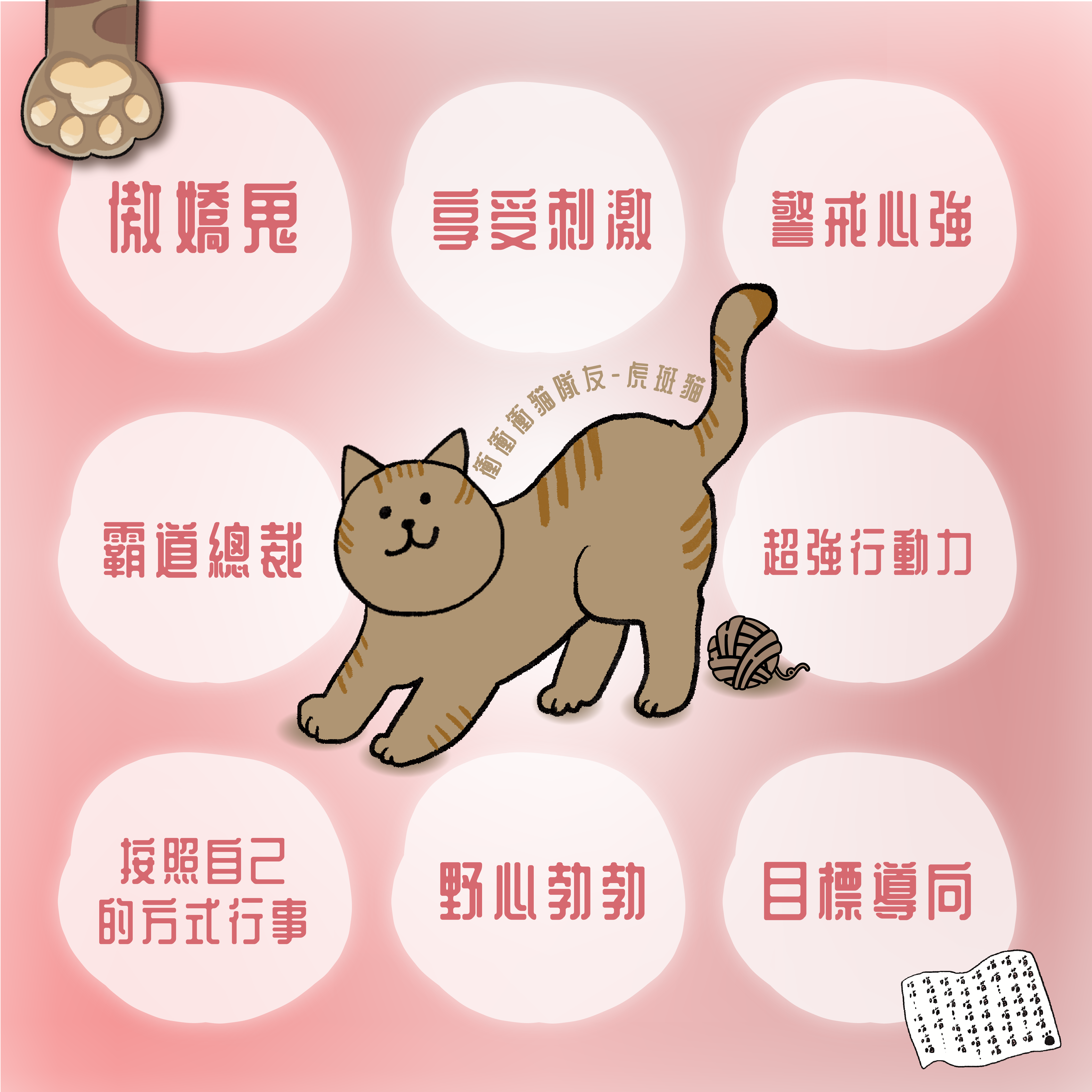 虎斑貓