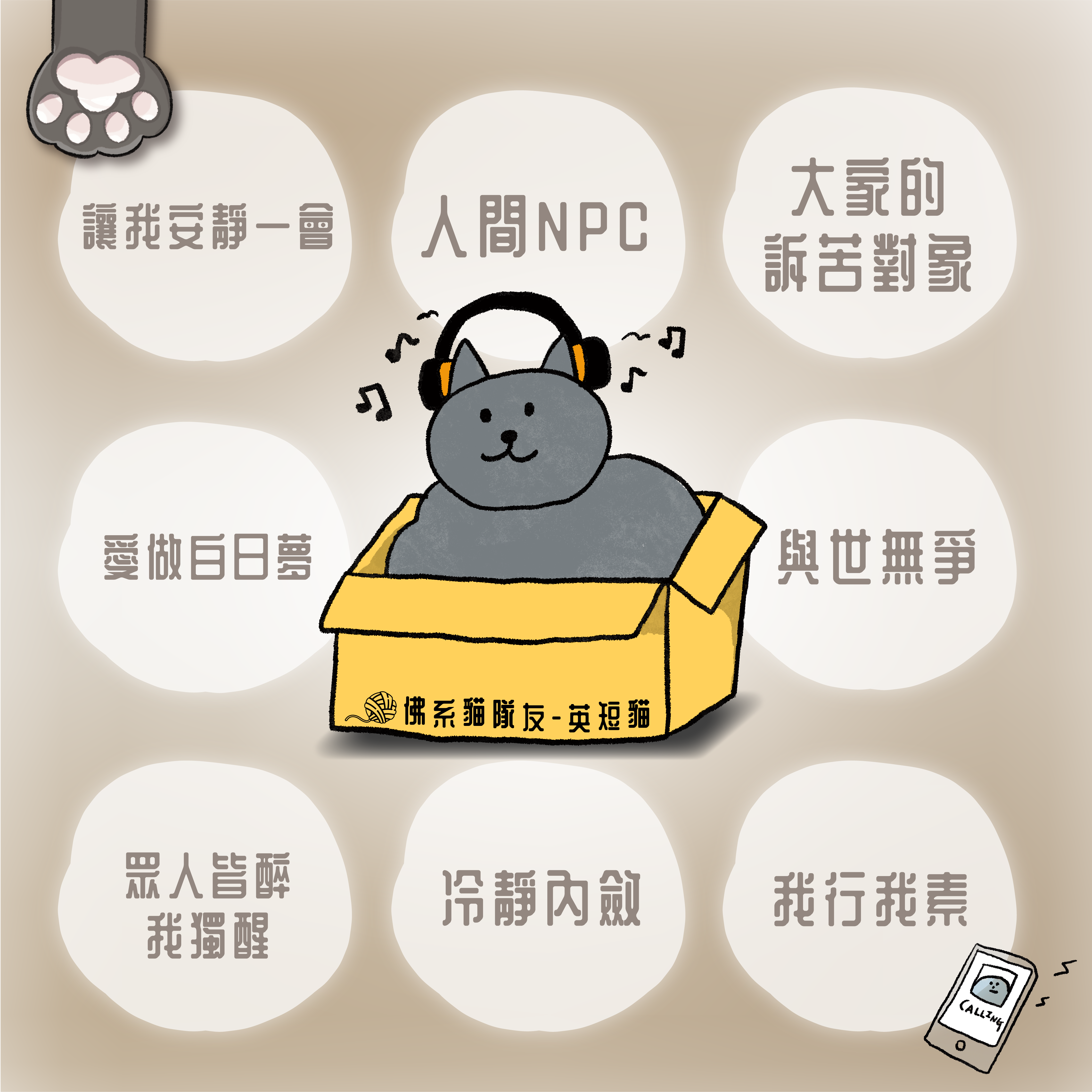 英短貓