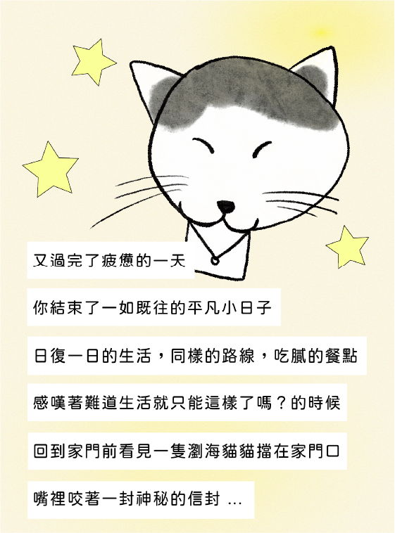 瀏海貓貓