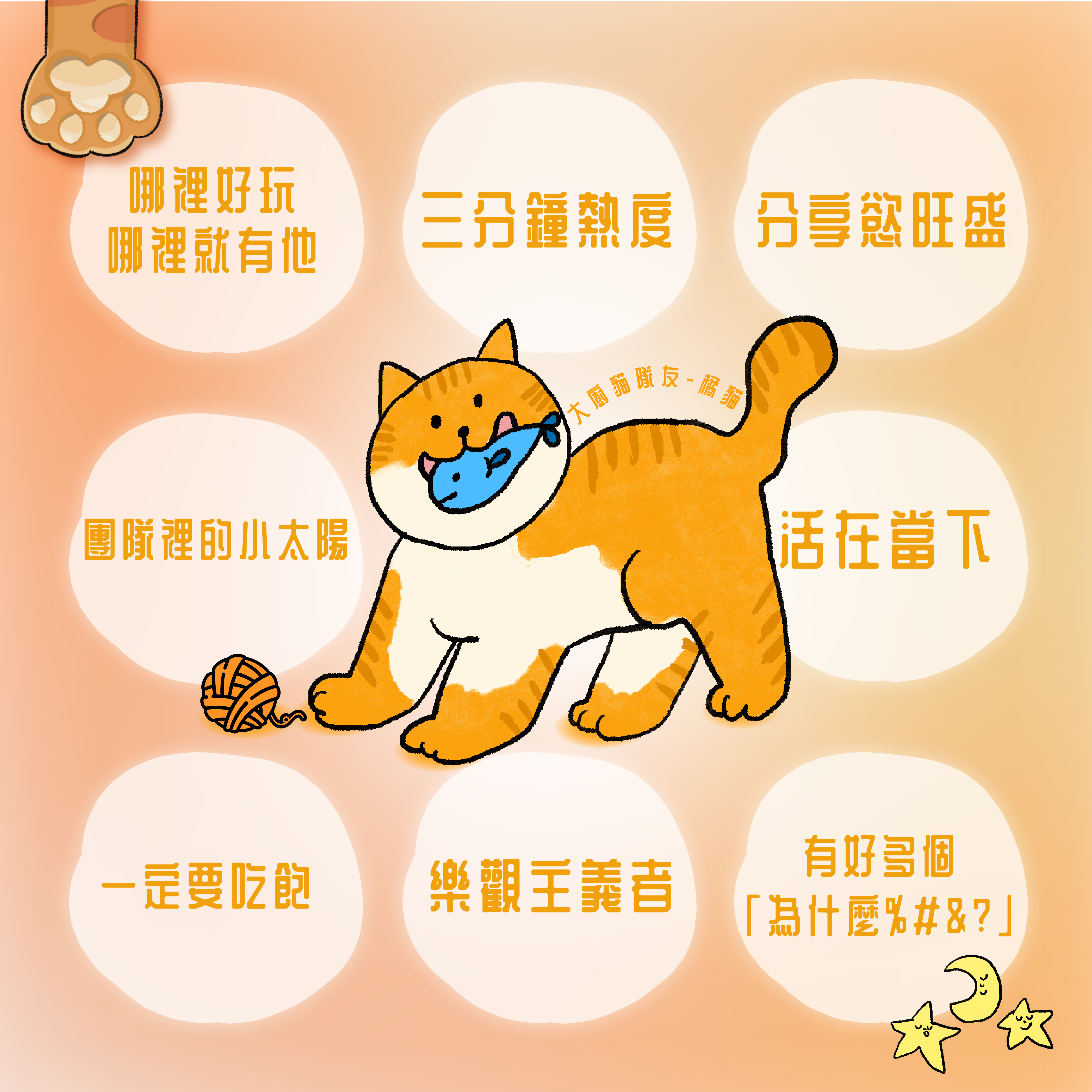 橘貓